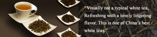 Modern Teaism White Tea