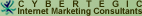 Cybertegic.com, Internet Marketing Consultants