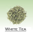 Modern Teaism White Tea